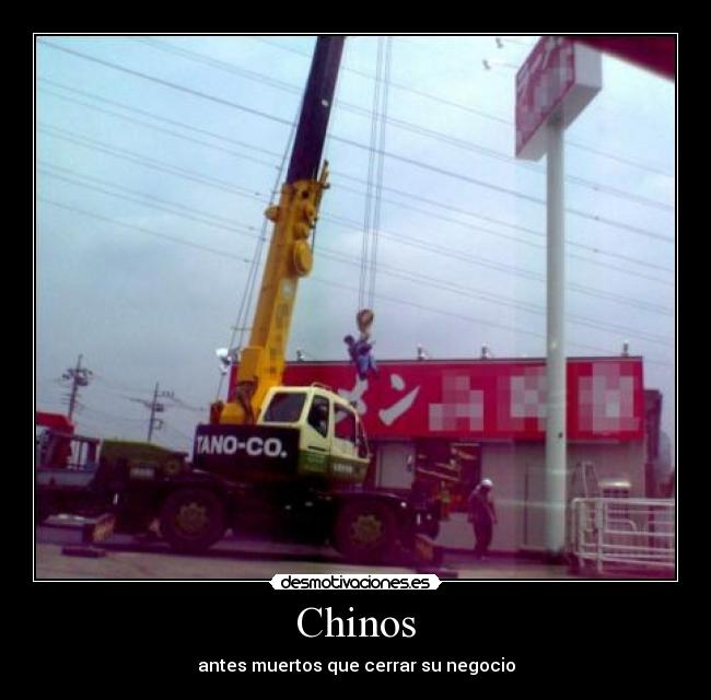 Chinos - 