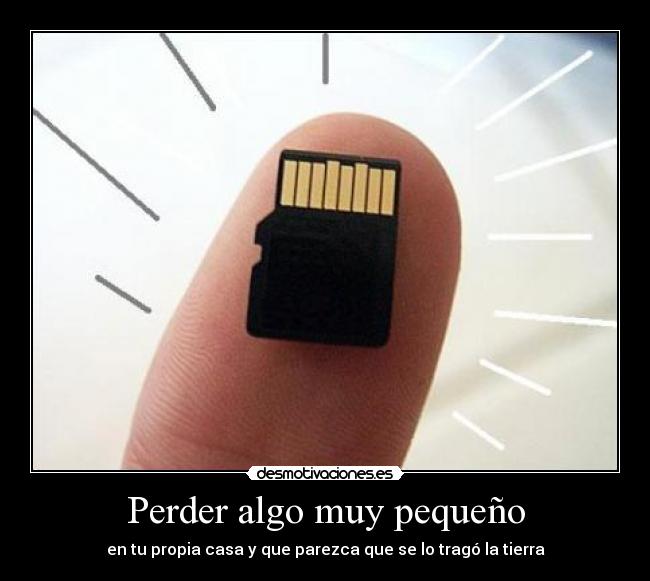 Perder algo muy pequeño -