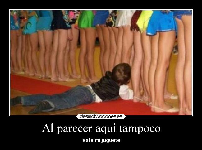 Al parecer aqui tampoco - esta mi juguete