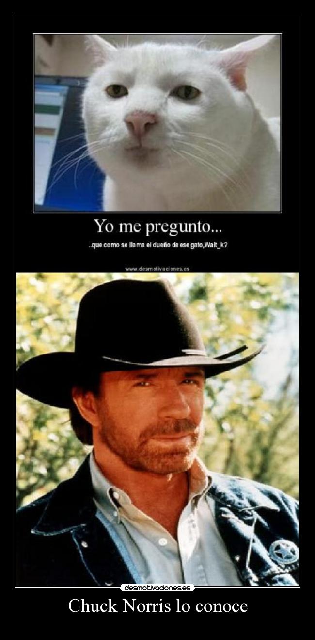 Chuck Norris lo conoce -
