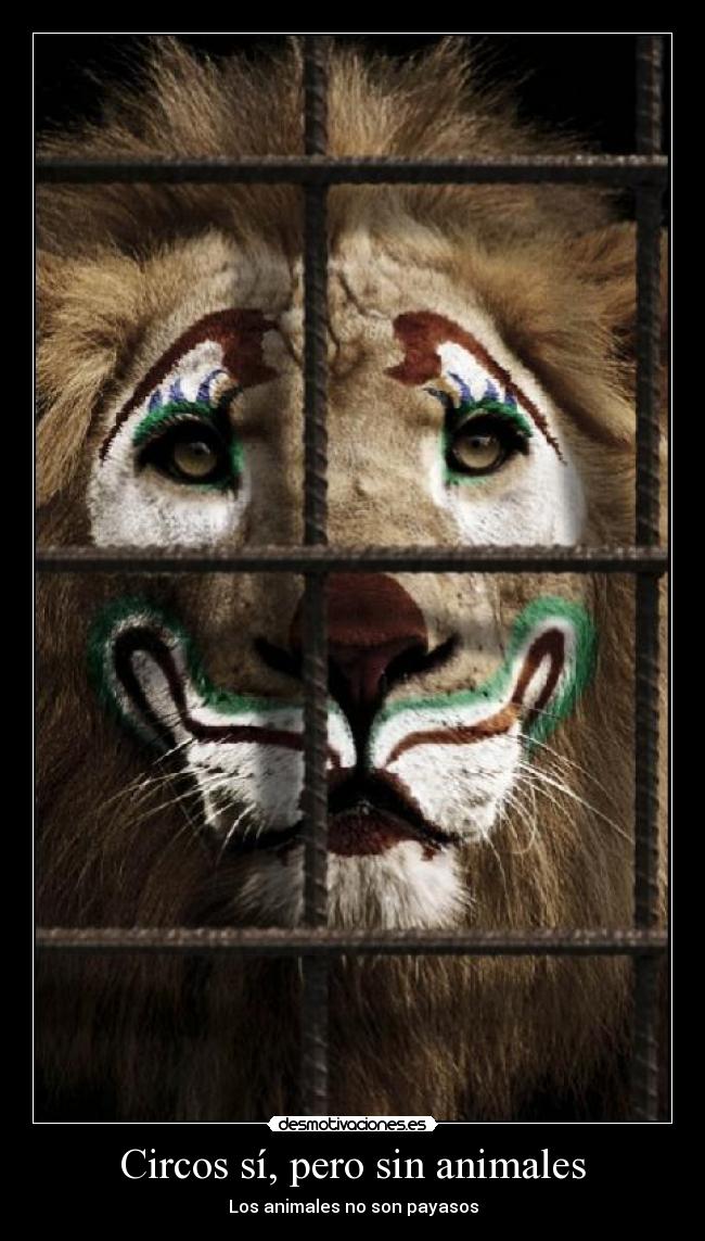 Circos sí, pero sin animales -