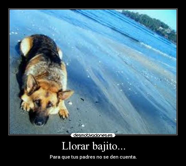 Llorar bajito... - Para que tus padres no se den cuenta.