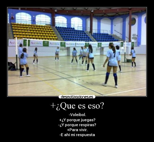 +¿Que es eso? - -Voleibol.
+¿Y porque juegas?
-¿Y porque respiras?
+Para vivir.
-E ahí mi respuesta