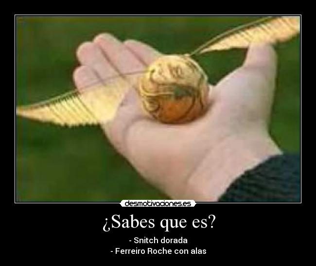 ¿Sabes que es? -