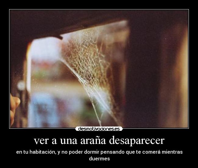 ver a una araña desaparecer -