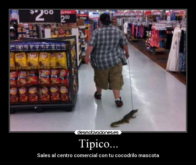 Típico... - 