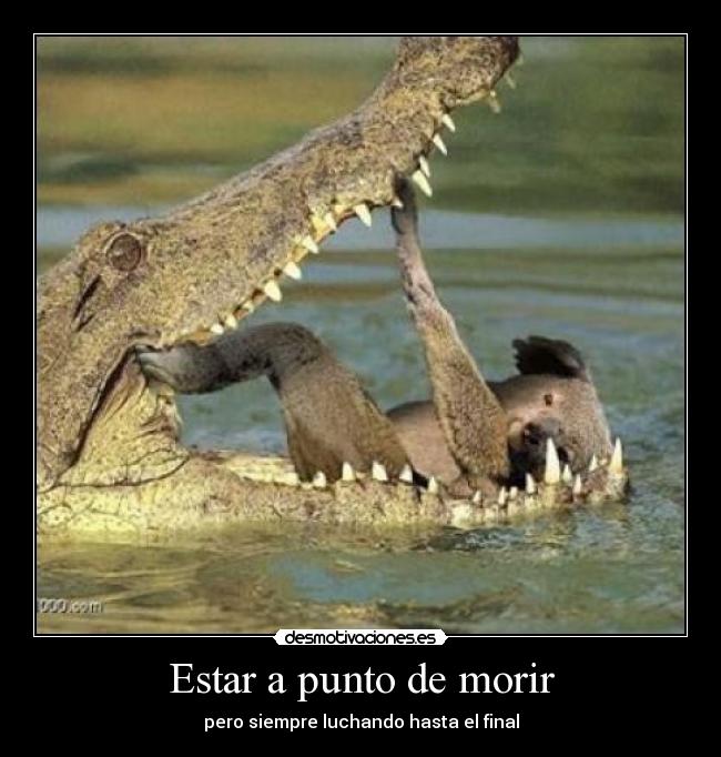 Estar a punto de morir - pero siempre luchando hasta el final