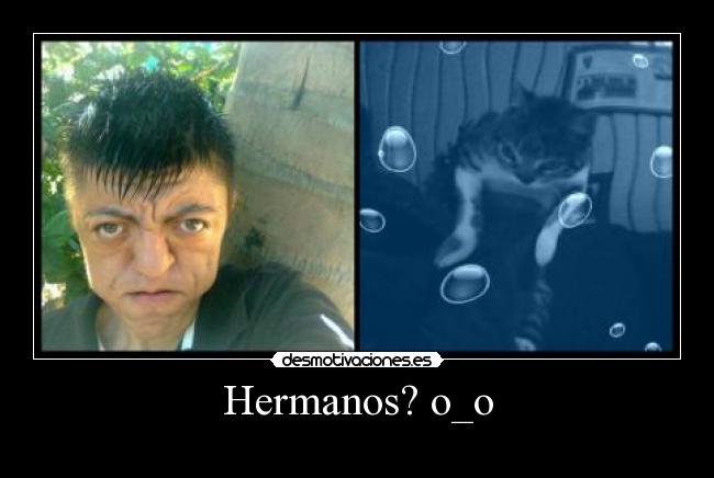 carteles jnkl desmotivaciones