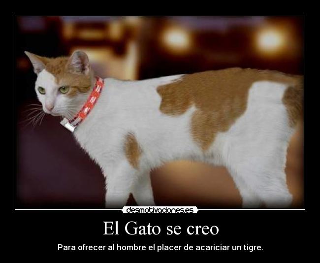 El Gato se creo - Para ofrecer al hombre el placer de acariciar un tigre.