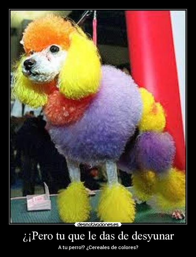 ¿¡Pero tu que le das de desyunar - A tu perro!? ¿Cereales de colores?