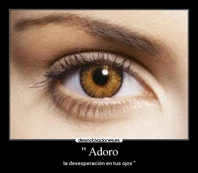  Adoro - 