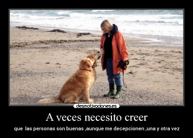 carteles animales desmotivaciones