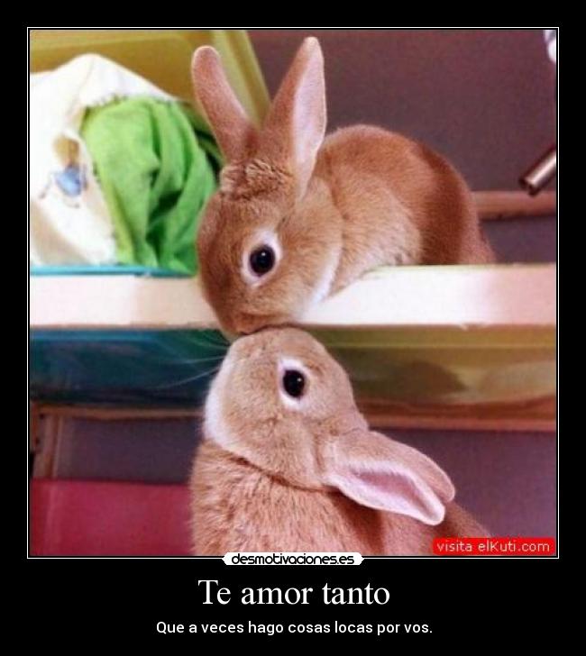 Te amor tanto - Que a veces hago cosas locas por vos.