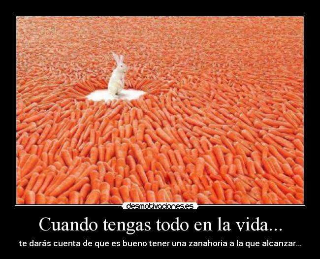Cuando tengas todo en la vida... - te darás cuenta de que es bueno tener una zanahoria a la que alcanzar...