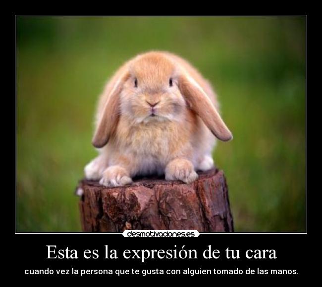 Esta es la expresión de tu cara -