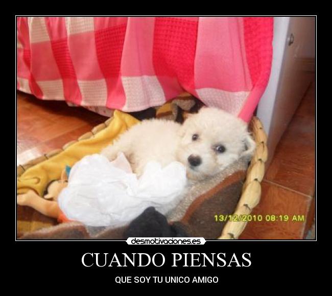 CUANDO PIENSAS -