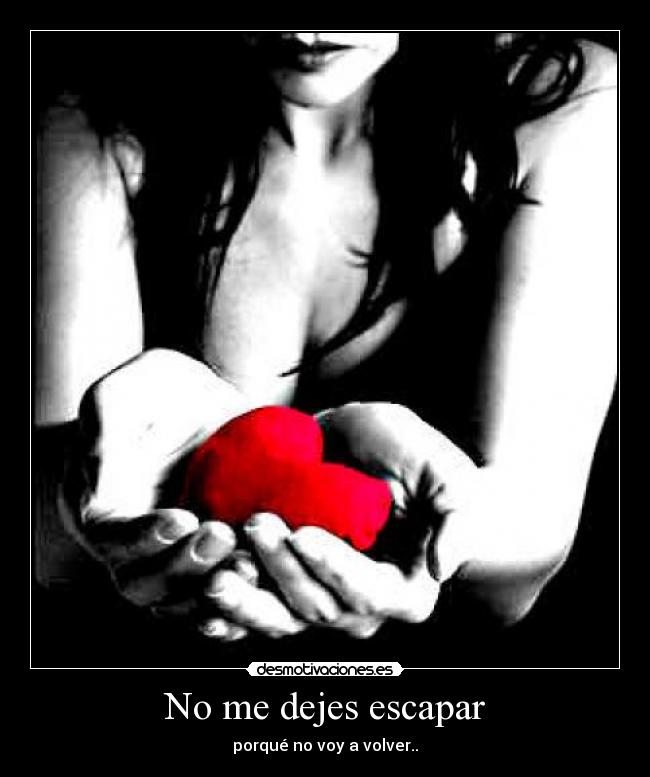 No me dejes escapar -