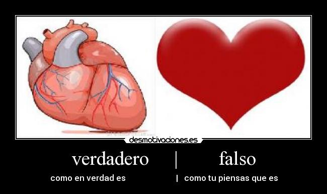 verdadero | falso - como en verdad es | como tu piensas que es
