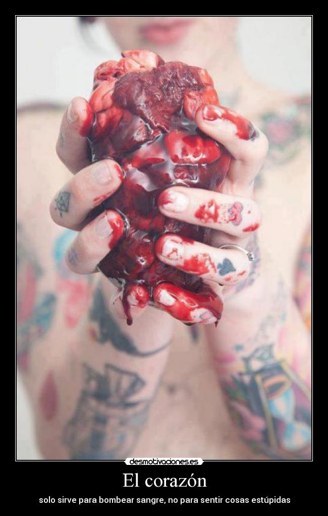 El corazón - 