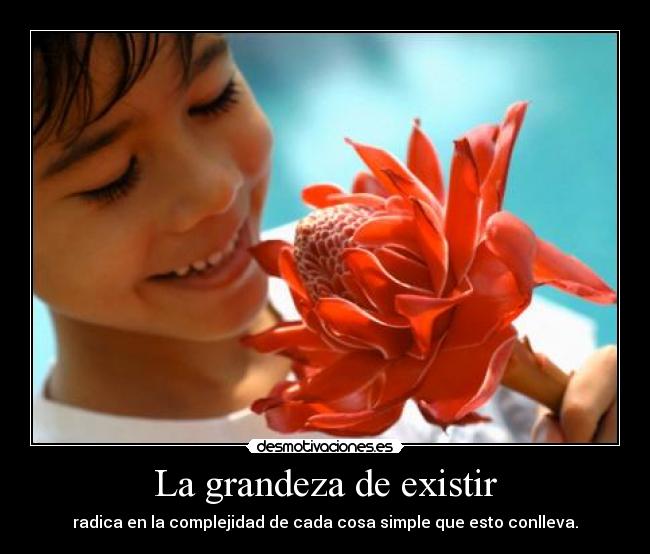 La grandeza de existir - radica en la complejidad de cada cosa simple que esto conlleva.