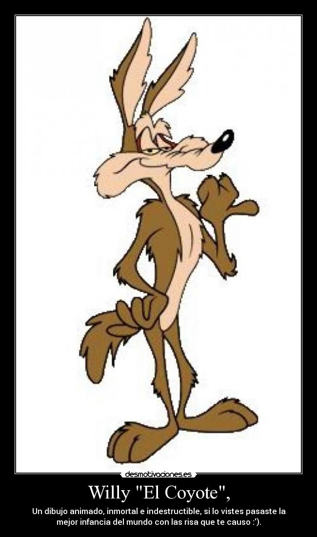 Willy El Coyote, -