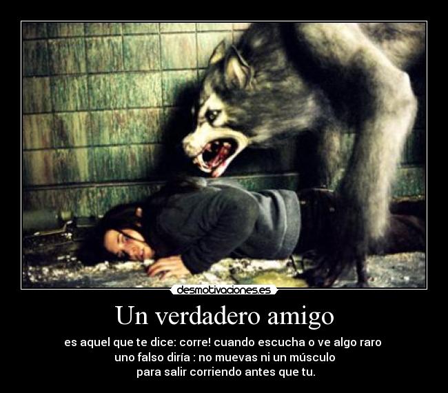 Un verdadero amigo - 