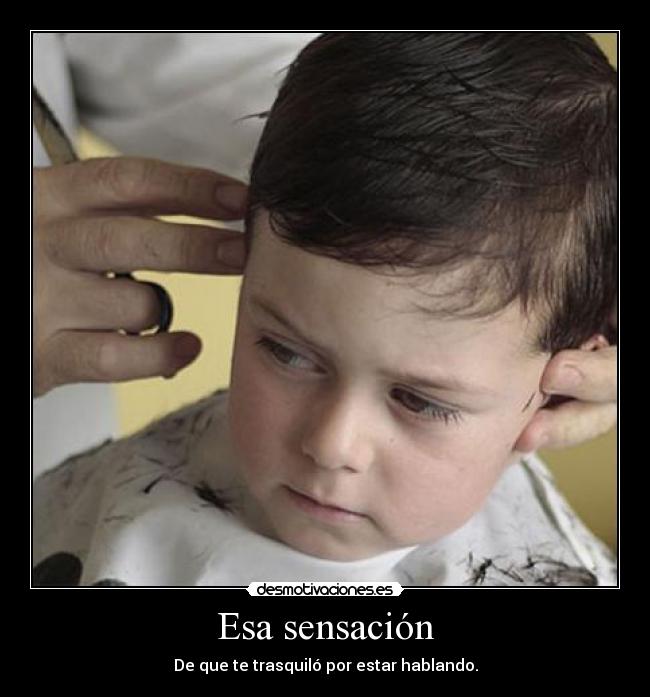 carteles trasquilo desmotivaciones