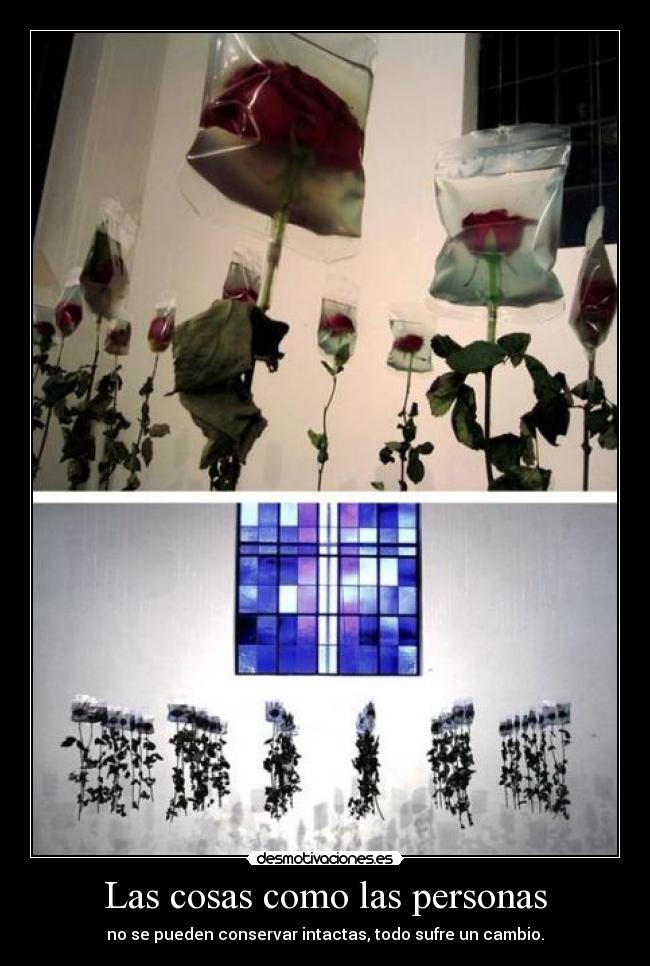 Las cosas como las personas - no se pueden conservar intactas, todo sufre un cambio.