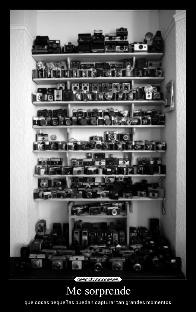 Me sorprende - que cosas pequeñas puedan capturar tan grandes momentos.