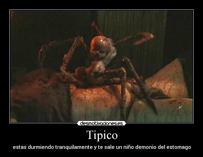 Tipico -
