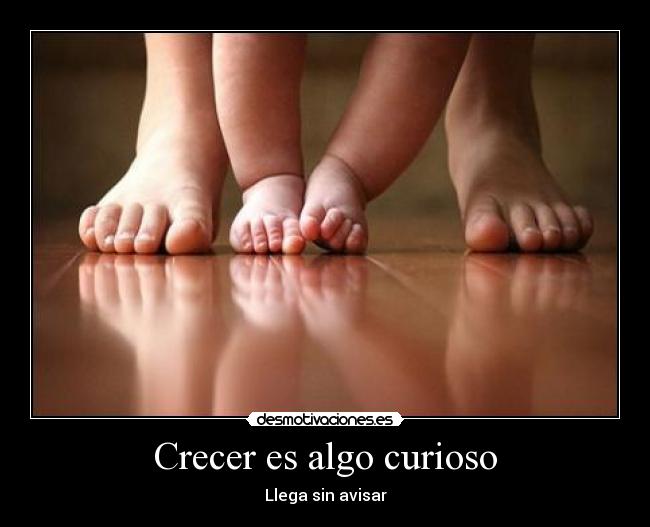 carteles crecer algo curioso desmotivaciones