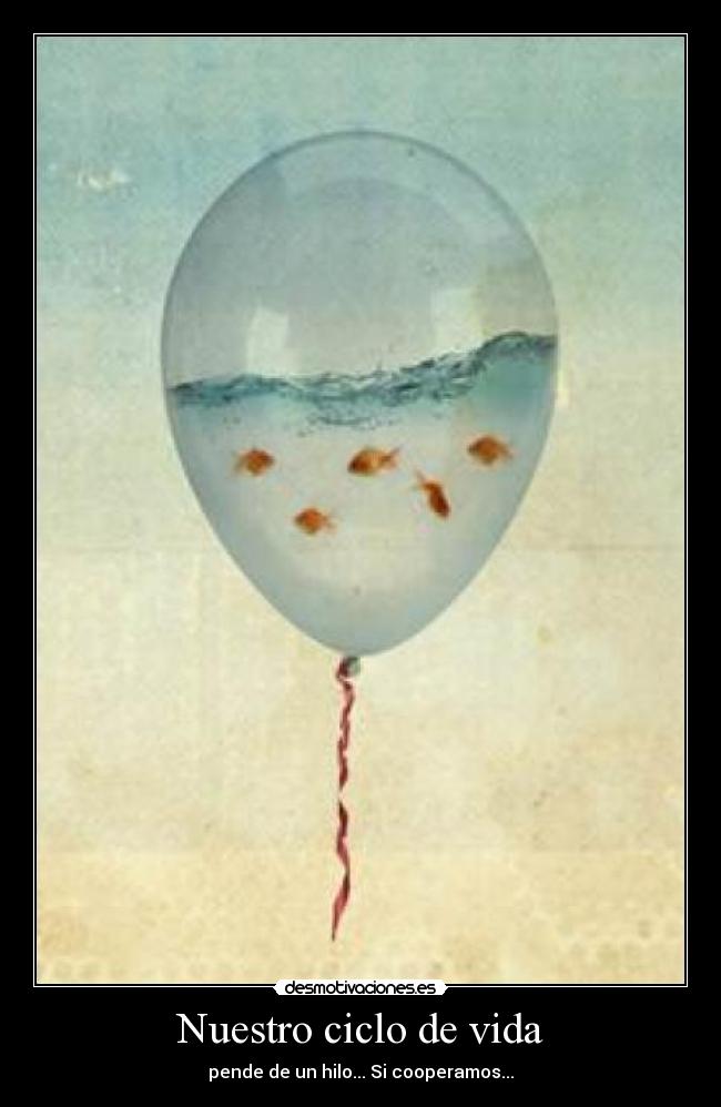 Nuestro ciclo de vida - pende de un hilo... Si cooperamos...