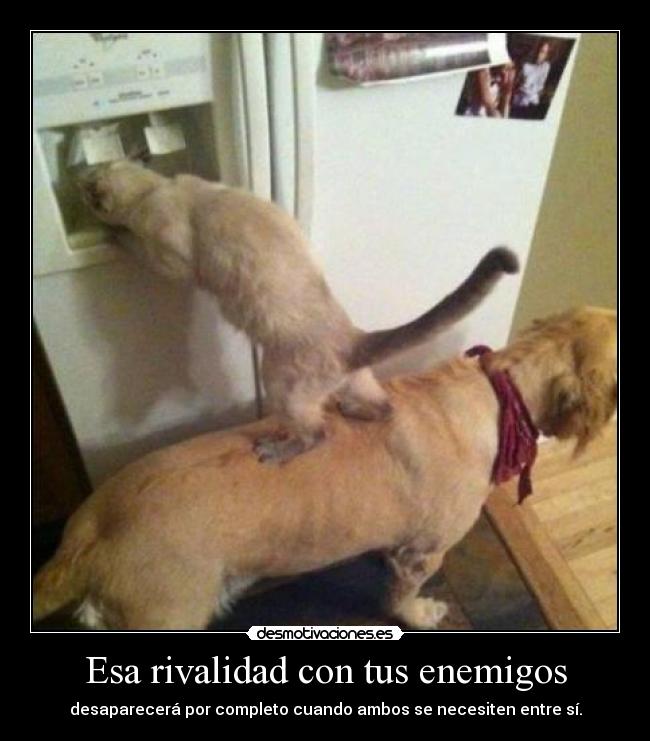Esa rivalidad con tus enemigos - 