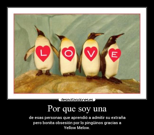 Por que soy una - de esas personas que aprendió a admitir su extraña
pero bonita obsesión por lo pingüinos gracias a
Yellow Melow.