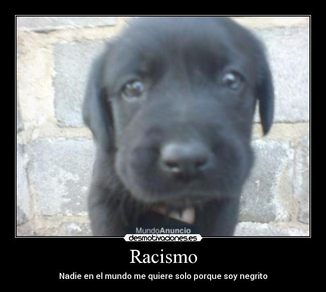 Racismo - Nadie en el mundo me quiere solo porque soy negrito