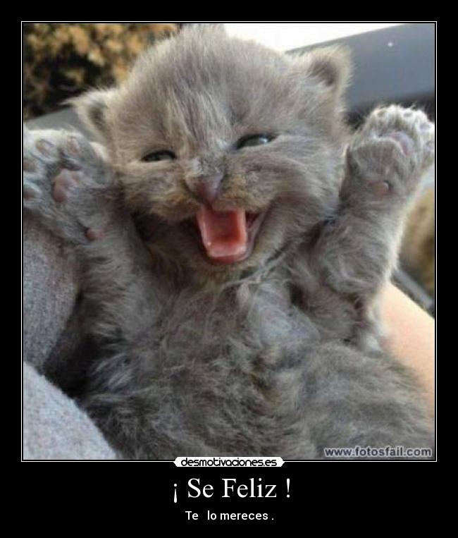 ¡ Se Feliz ! -
