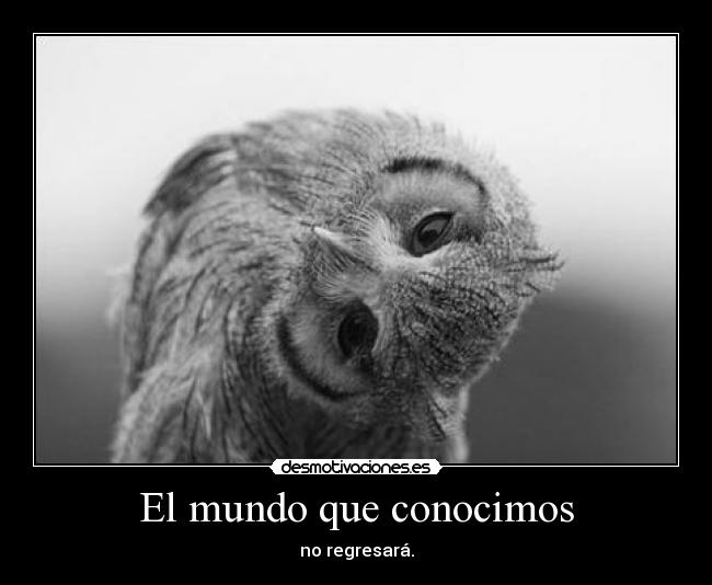 El mundo que conocimos - 