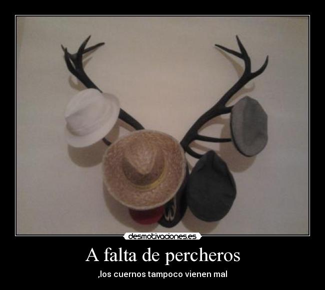 A falta de percheros - ,los cuernos tampoco vienen mal