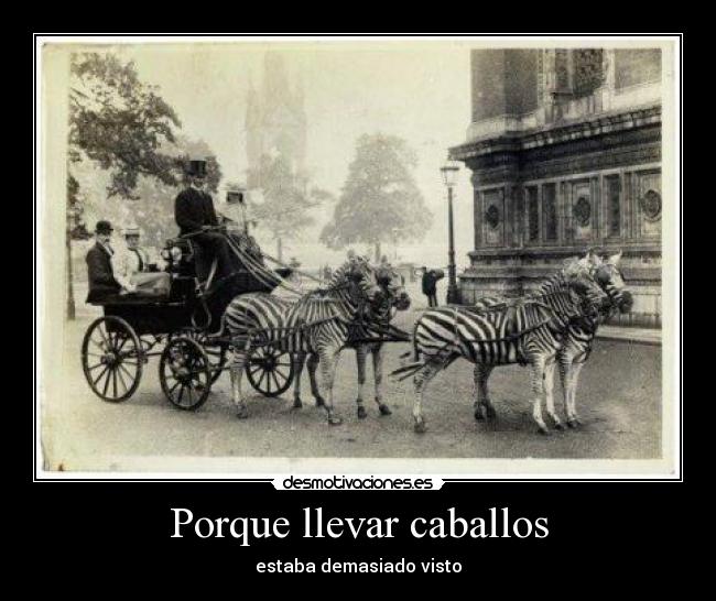Porque llevar caballos -