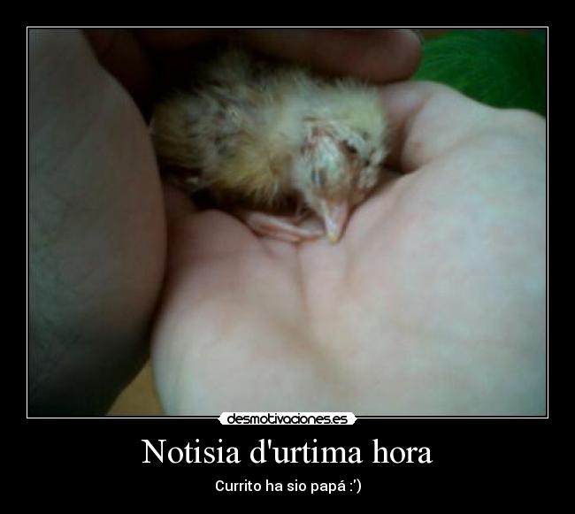 Notisia durtima hora - Currito ha sio papá :)