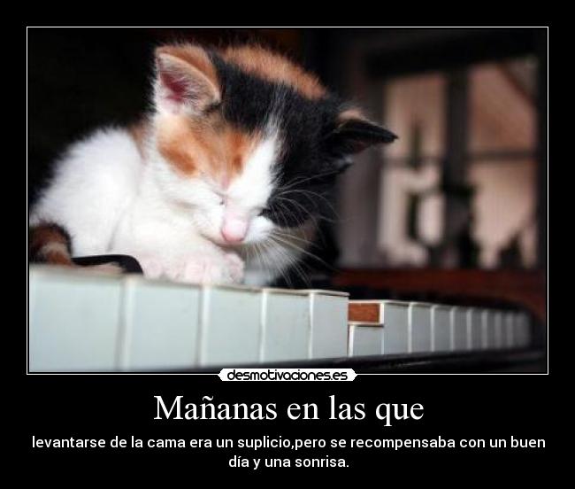 carteles gato cute cuteclan corpsegirl heheheh desmotivaciones