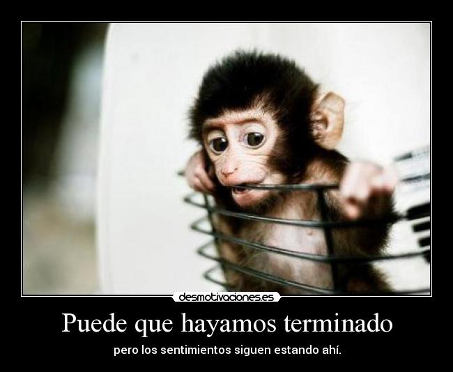 Puede que hayamos terminado - 