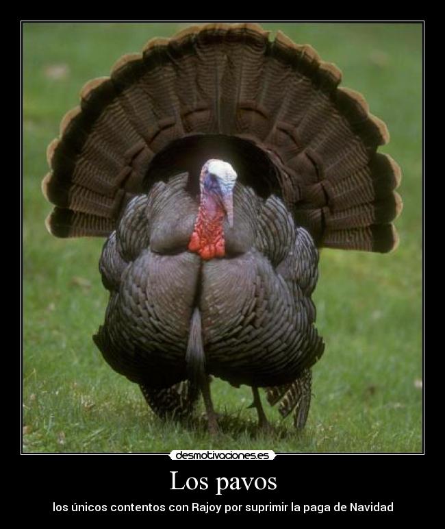 carteles desmotivaciones