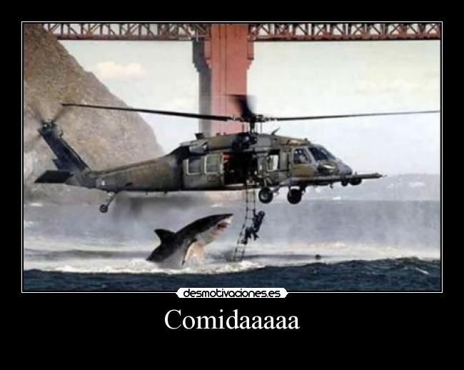 Comidaaaaa - 