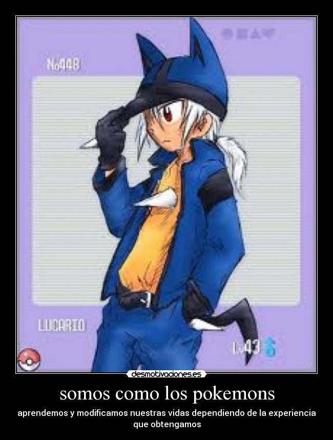 somos como los pokemons - 