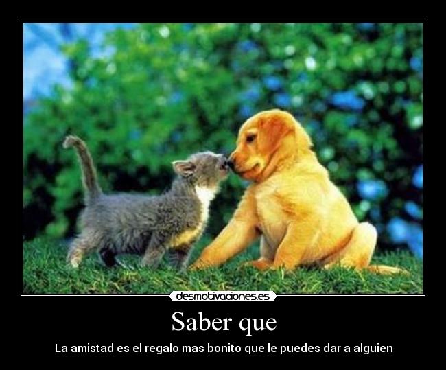 Saber que - La amistad es el regalo mas bonito que le puedes dar a alguien