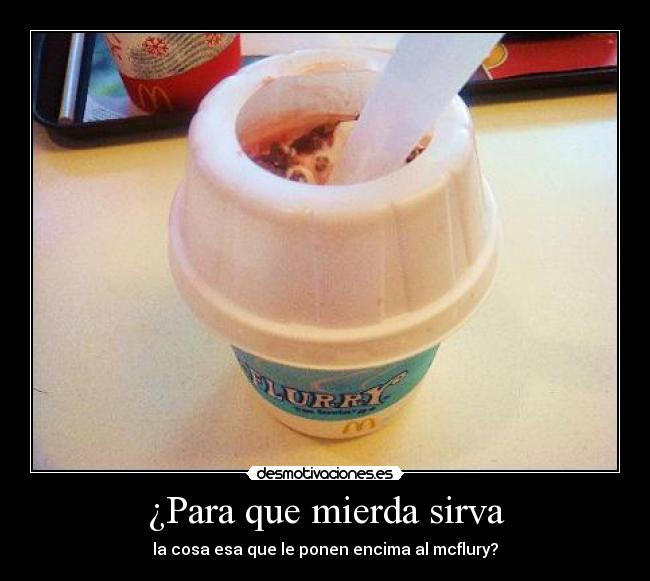 ¿Para que mierda sirva - la cosa esa que le ponen encima al mcflury?