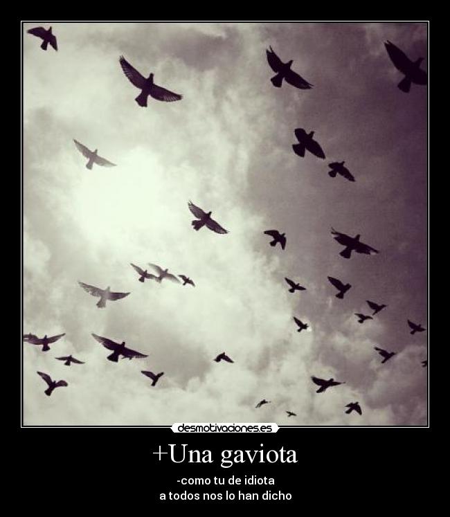 +Una gaviota - 