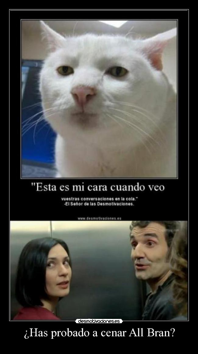 carteles que alguien diga que viene subir esto subi diciembre lol desmotivaciones