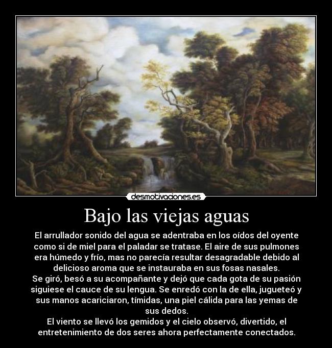 Bajo las viejas aguas - El arrullador sonido del agua se adentraba en los oídos del oyente
como si de miel para el paladar se tratase. El aire de sus pulmones
era húmedo y frío, mas no parecía resultar desagradable debido al
delicioso aroma que se instauraba en sus fosas nasales.
Se giró, besó a su acompañante y dejó que cada gota de su pasión
siguiese el cauce de su lengua. Se enredó con la de ella, jugueteó y
sus manos acariciaron, tímidas, una piel cálida para las yemas de
sus dedos.
El viento se llevó los gemidos y el cielo observó, divertido, el
entretenimiento de dos seres ahora perfectamente conectados.